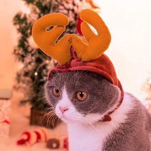 Puppy or Kitten Reindeer Antler Velcro Cap